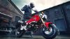 quadro 350d - ���������� ���� ������� ��� �� ���������� �� ��� Honda CB500X, NSS300 Forza ��� CRF250M. ���� ������ ��� ��������, ��� ������� ��� ������ ��� ����� MSX 125!