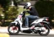honda vision 110, honda wave 110i - �� ��� ���������� ����� ��� ������ ������� ��������� �������� �� scooter ��� SYM ��������� �� ��� ��������� ���������� �� �������� ��� �������� ��� ������ ��� ����� ���� ��� �� ����������.
