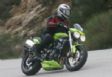 triumph - ���� ����� Triumph
