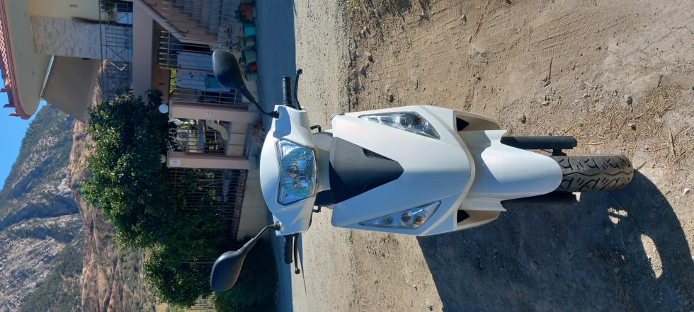Daytona Cargo -  2024 - 1 800 EUR Καινούργιες - Μεταχειρισμένες Μοτοσυκλέτες