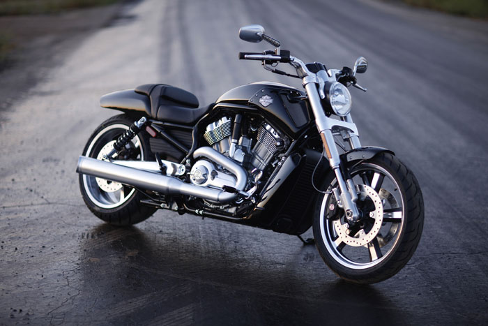 V-Rod Muscle