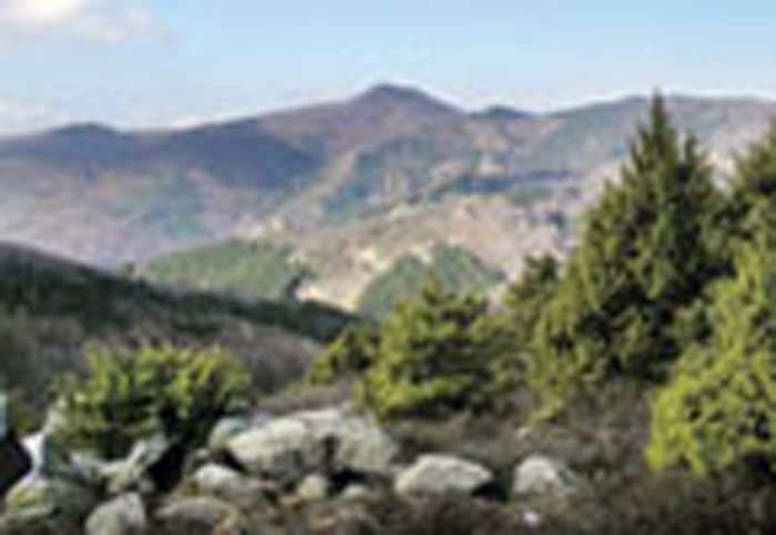 Πάμε Βράσταμα Χαλκιδικής 