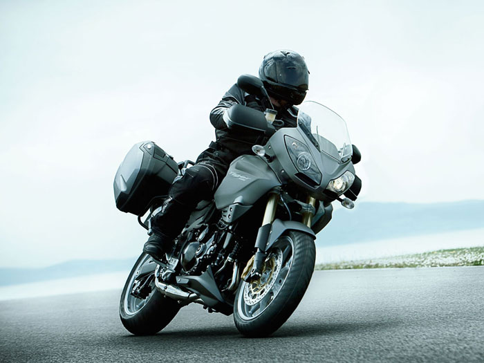 Triumph 2010