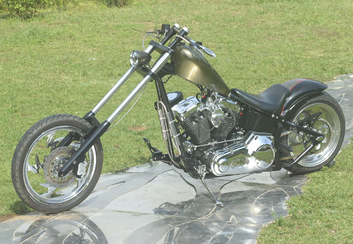 Bad to the bone