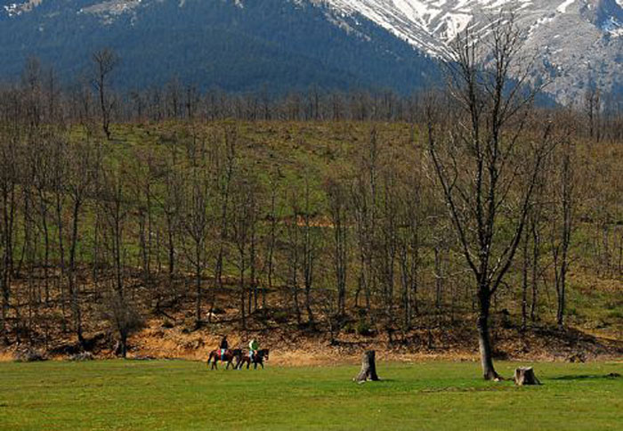50 προτάσεις για εκδρομή!