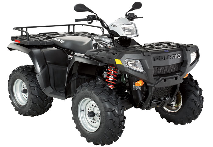 Η Polaris με τα νέα της καλούδια