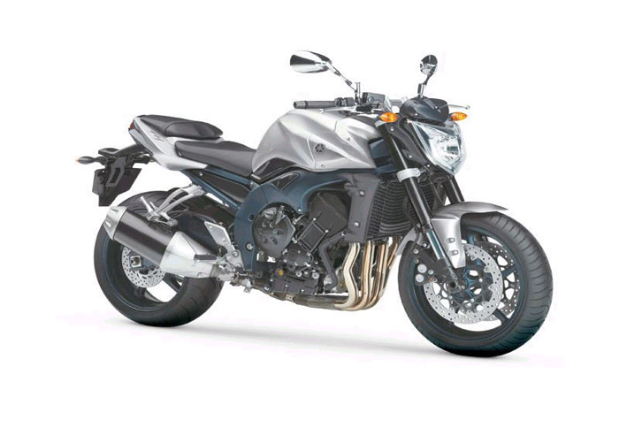 Fazer 1000 naked version