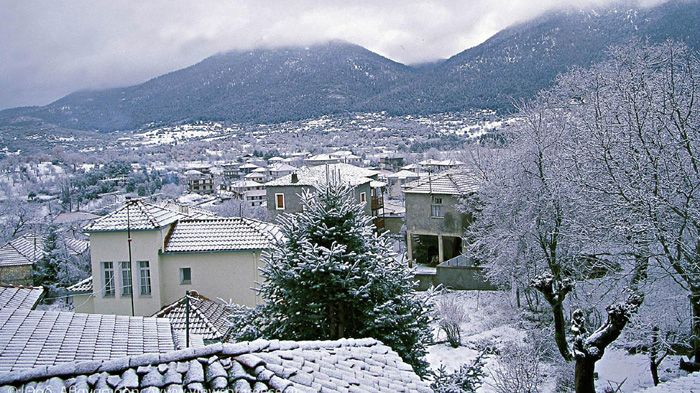 Ανακαλύψτε τα ελατοδάση της Αρκαδίας
