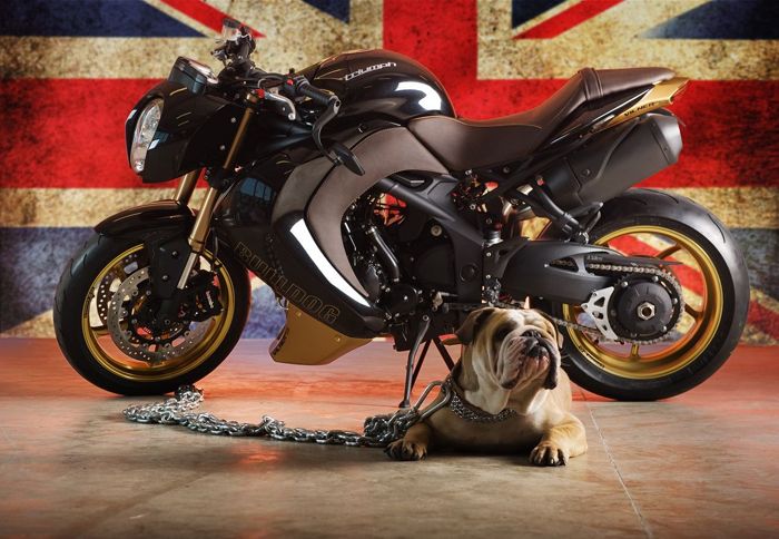 Η Vilner μεταμόρφωσε ένα Triumph Street Triple στο Bulldog, ένα επιθετικό café racer.