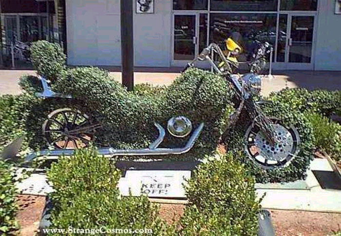 Bus Bike
