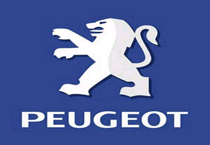 Συνεργασία Peugeot – Qingqi 