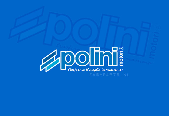 Η Polini σπονσοράρει το GP Μαλαισίας