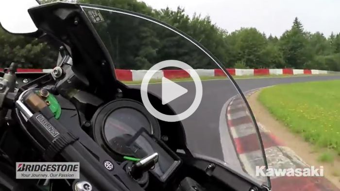 Όλα κάτω στο δάσος: Η2 και Πράσινη Κόλαση.