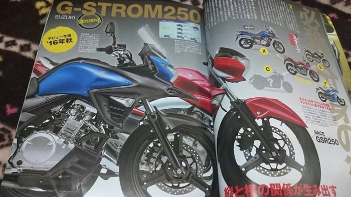 Δικύλινδρο 250 G-Strom; Καλή ιδέα.