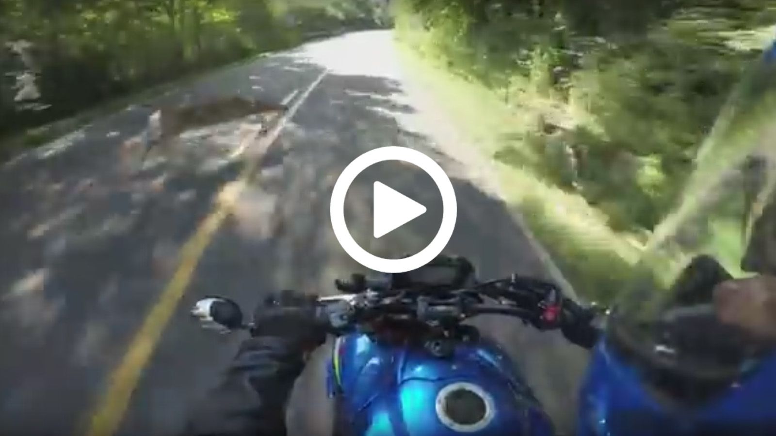 Φήμες λένε ότι ακόμα φωνάζει.