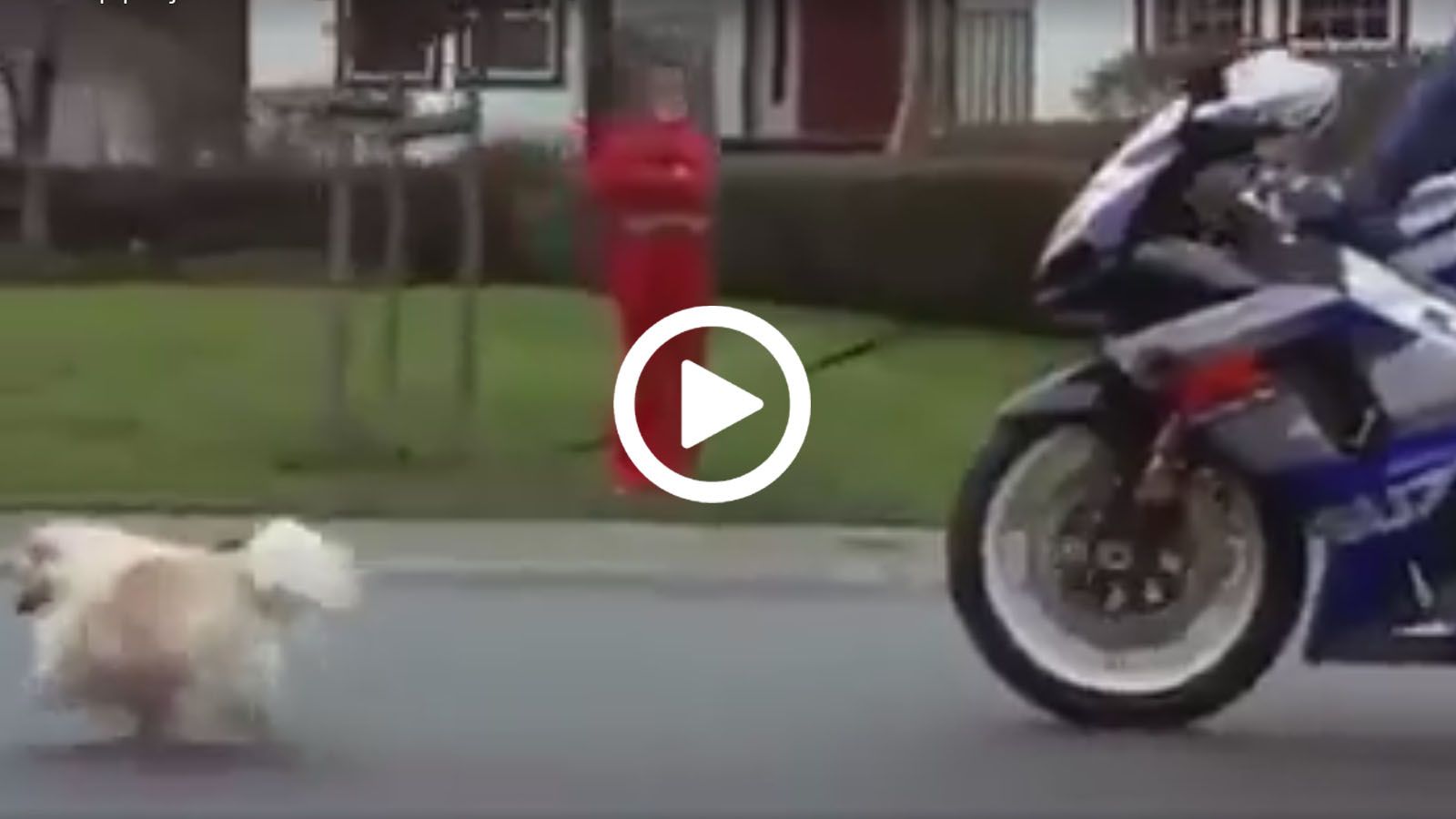 Ποτέ μη χαλάτε τα σχέδια ενός μοτοσυκλετιστή που θέλει να βολτάρει! 