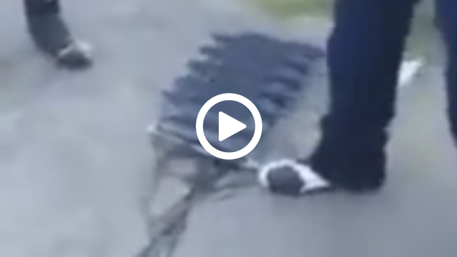 Τι ακριβώς είχε στο μυαλό της η αστυνομία; 