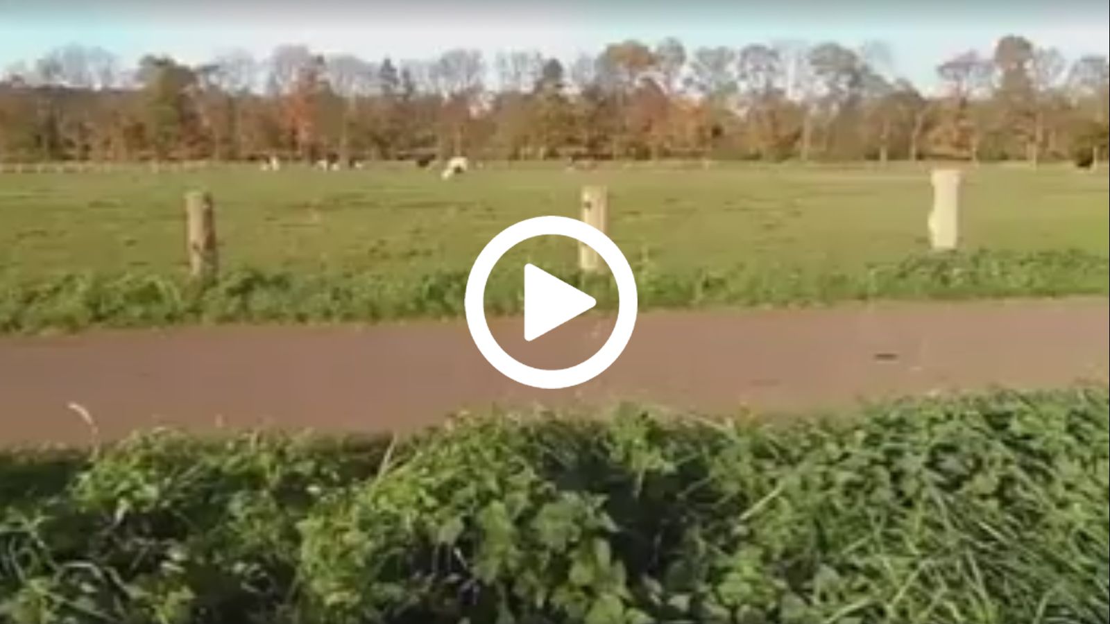 ...το είδατε; 