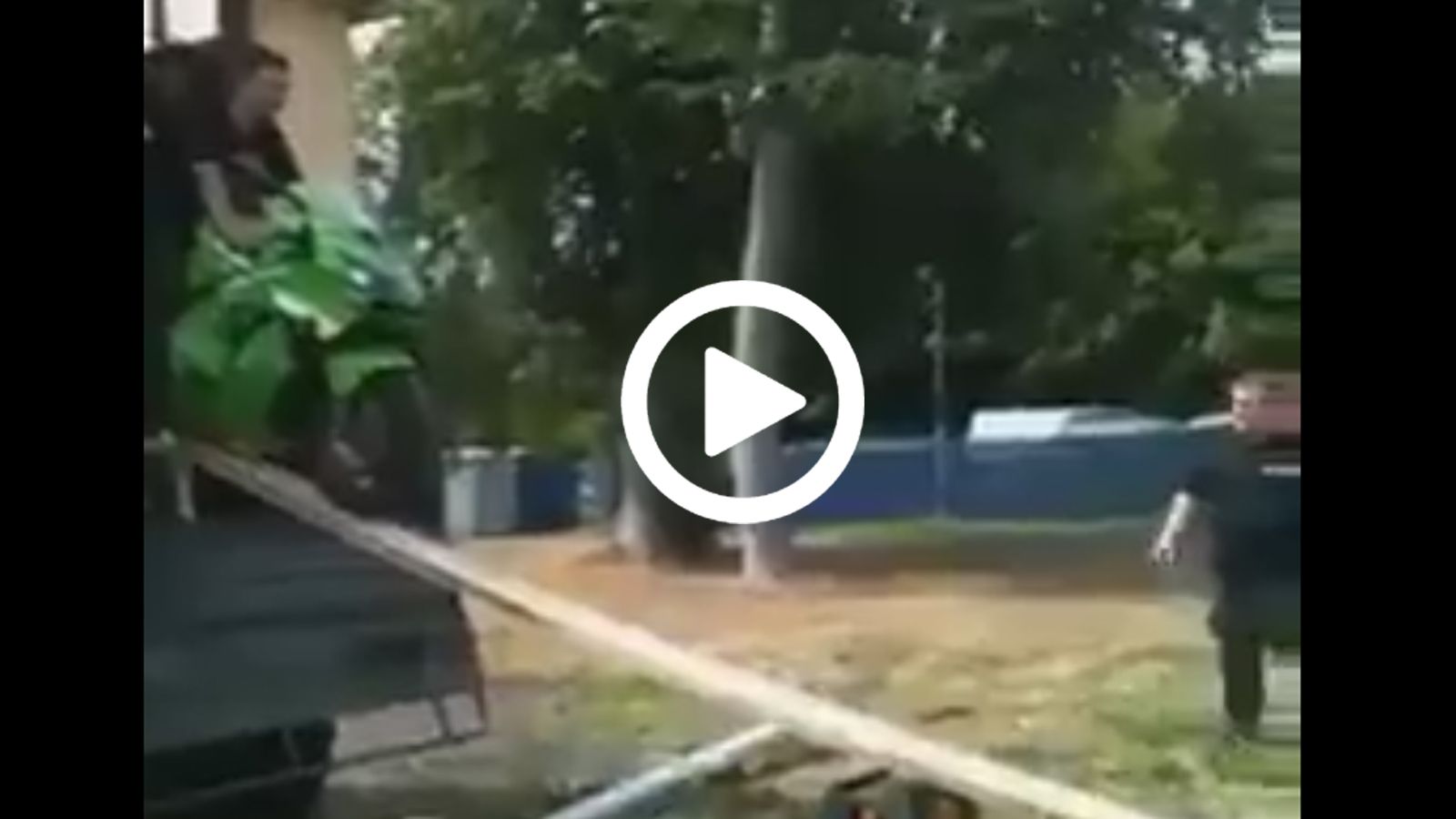 Ανατριχιάστε ελεύθερα! 