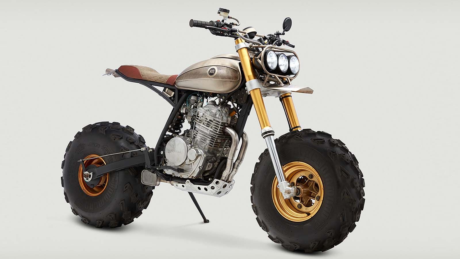 Η μπροστά όψη της μοτοσικλέτας. Διακρίνεται το κορυφαίο πιρούνι και οι εκτεταμένες στιλιστικές ακρότητες! 