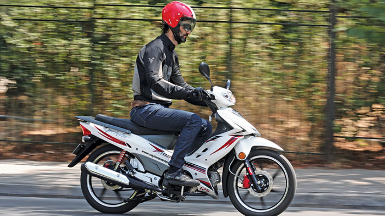 Ένα παπί που θα αποδειχθεί άξιος σύντροφος στην πόλη.