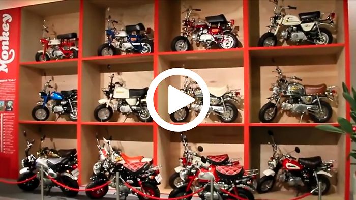 Τοίχος γεμάτος Monkey!