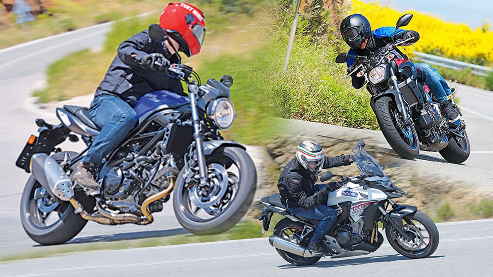 Είναι έτοιμες να τα κάνουν όλα και κονταροχτυπιούνται για μια θέση στο γκαράζ σας! 