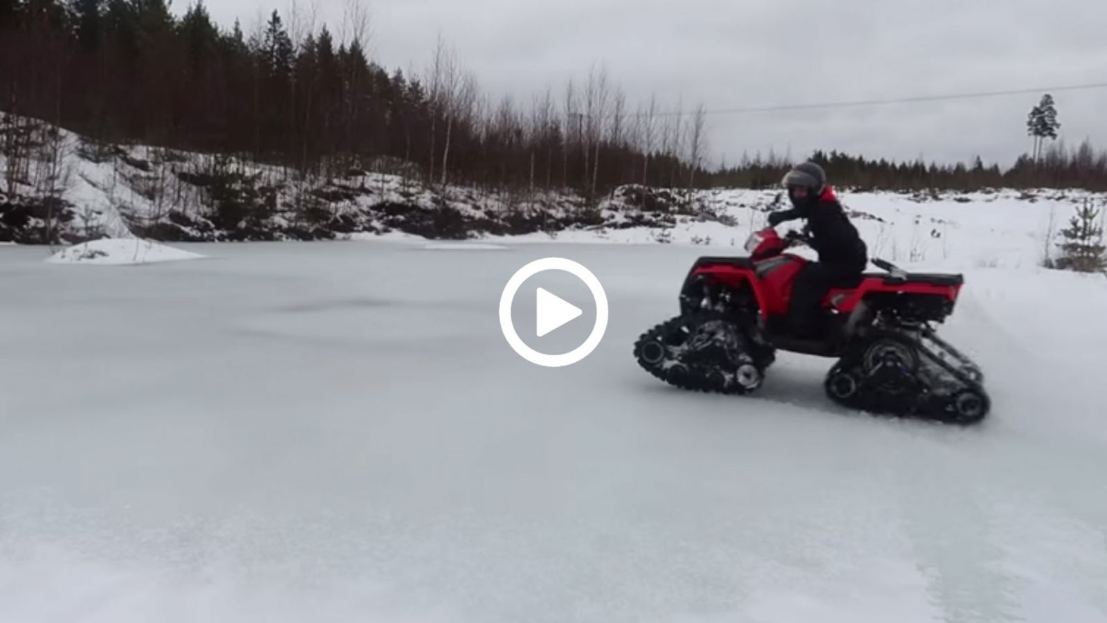 «Γουρούνα» με ερπύστριες