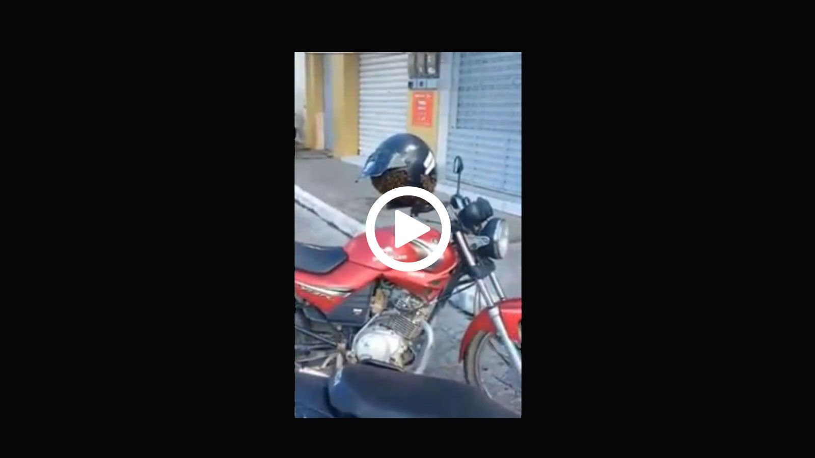 Από κράνος σε jet μελίσσι