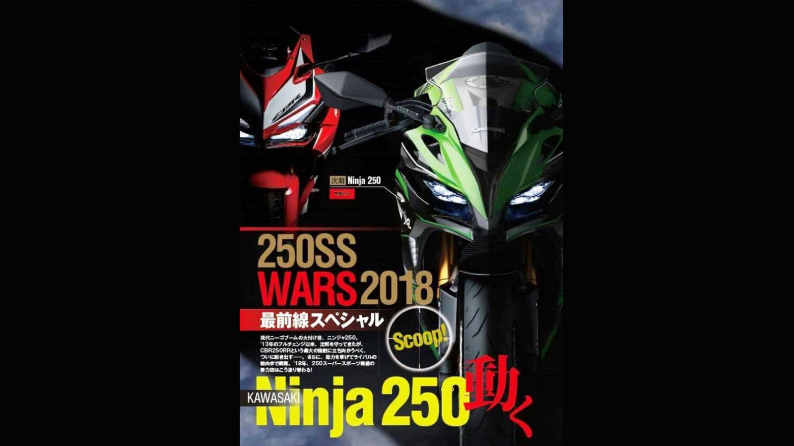 Kawasaki Ninja 300 2018