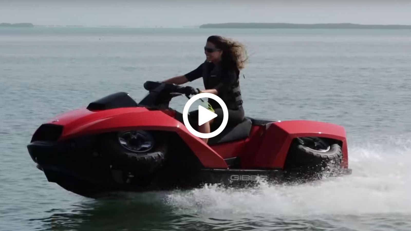 Αμφίβια «γουρούνα»