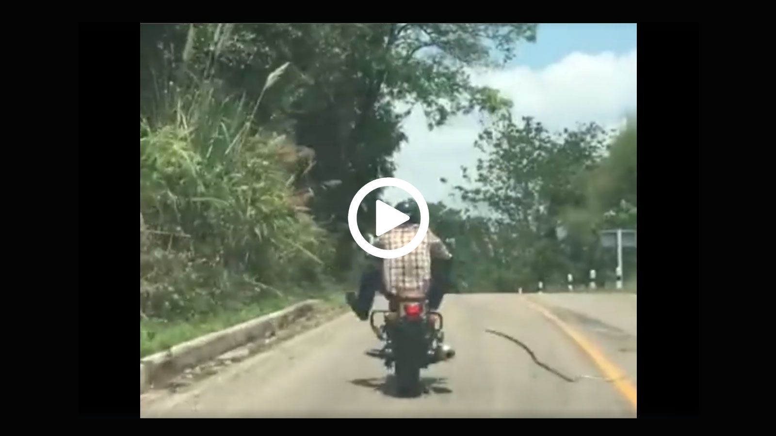 Μοτοσυκλετιστής-Φίδι= 1-0