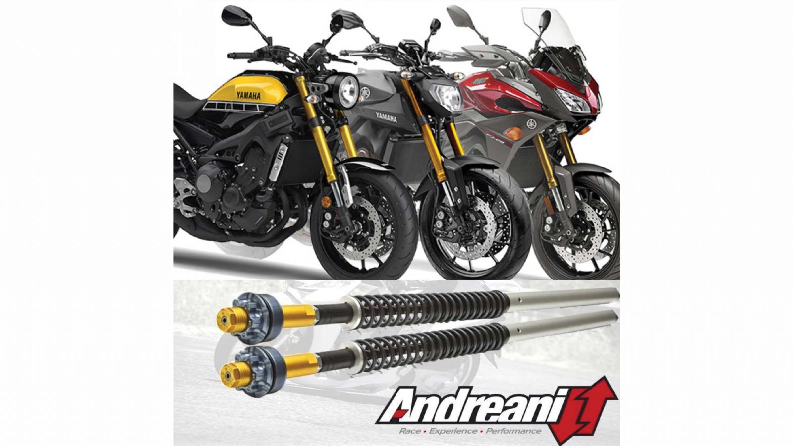 Andreani kit για Υamaha