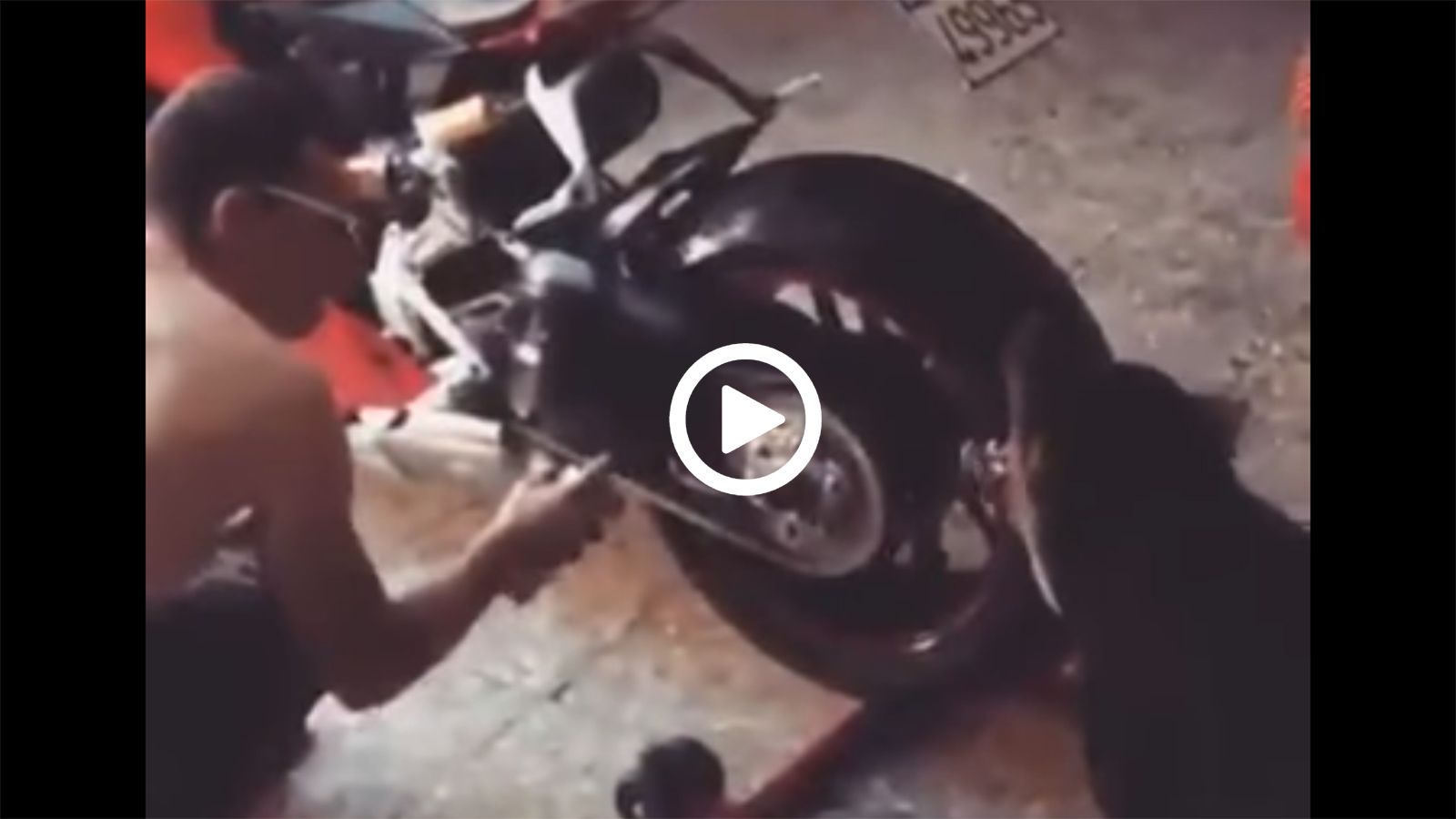 Σκύλος, ο καλύτερος φίλος του...αναβάτη!