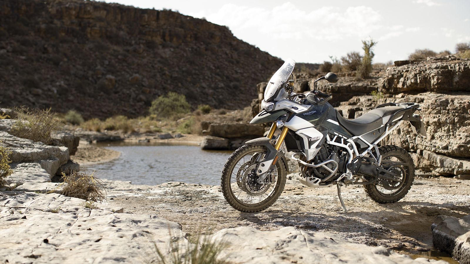 Triumph: Αυτές είναι οι τιμές του 2020