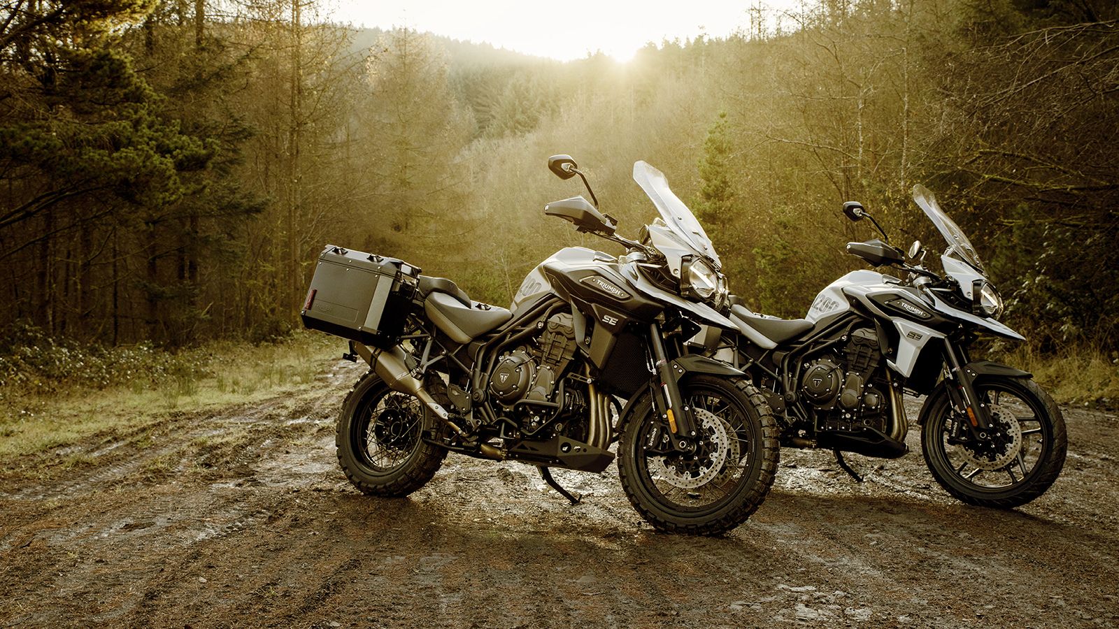 Οι νέες Triumph Tiger 1200 Desert και Alpine