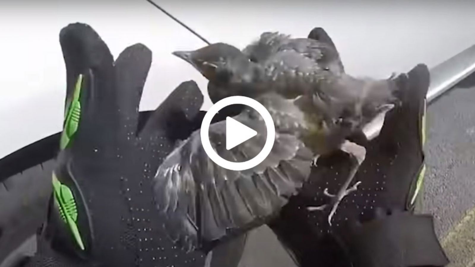 Στιγμές μεγαλοψυχίας και ανθρωπιάς από μοτοσυκλετιστές