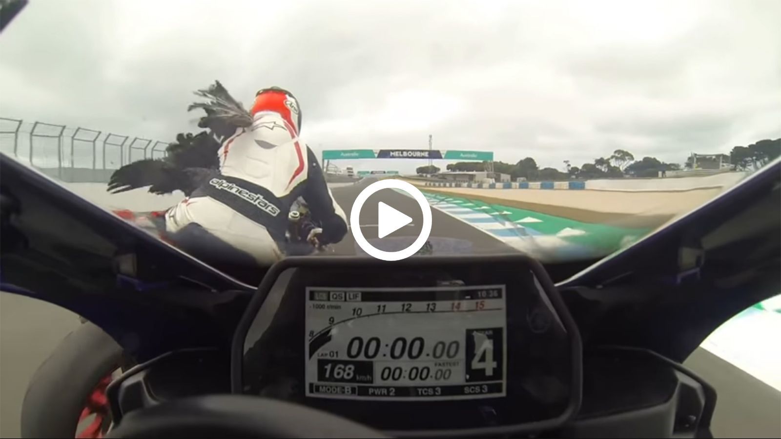 Όταν ένα πουλί σου χαλάει το track day