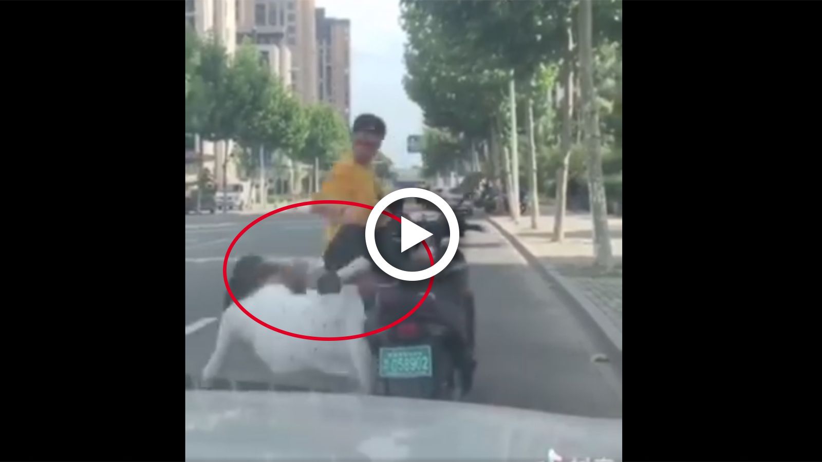 VIDEO: Πήγε για τσαμπουκά και τράβηξε κλωτσίδι στην συνεπιβάτη