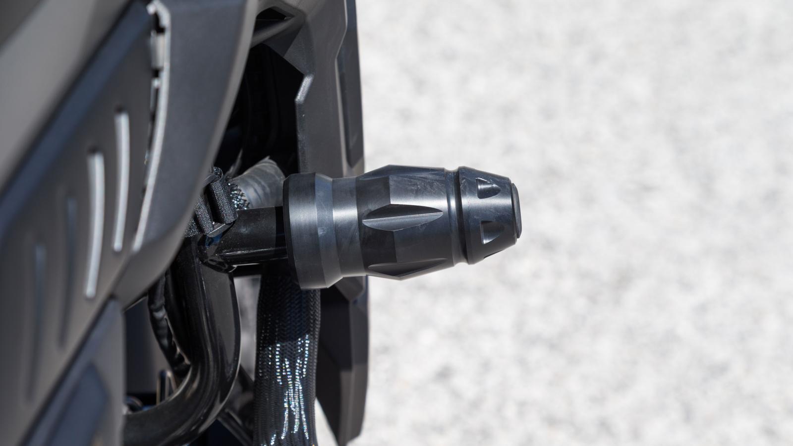 Πληθωρικά τα πλευρικά μανιτάρια προστασίας. 