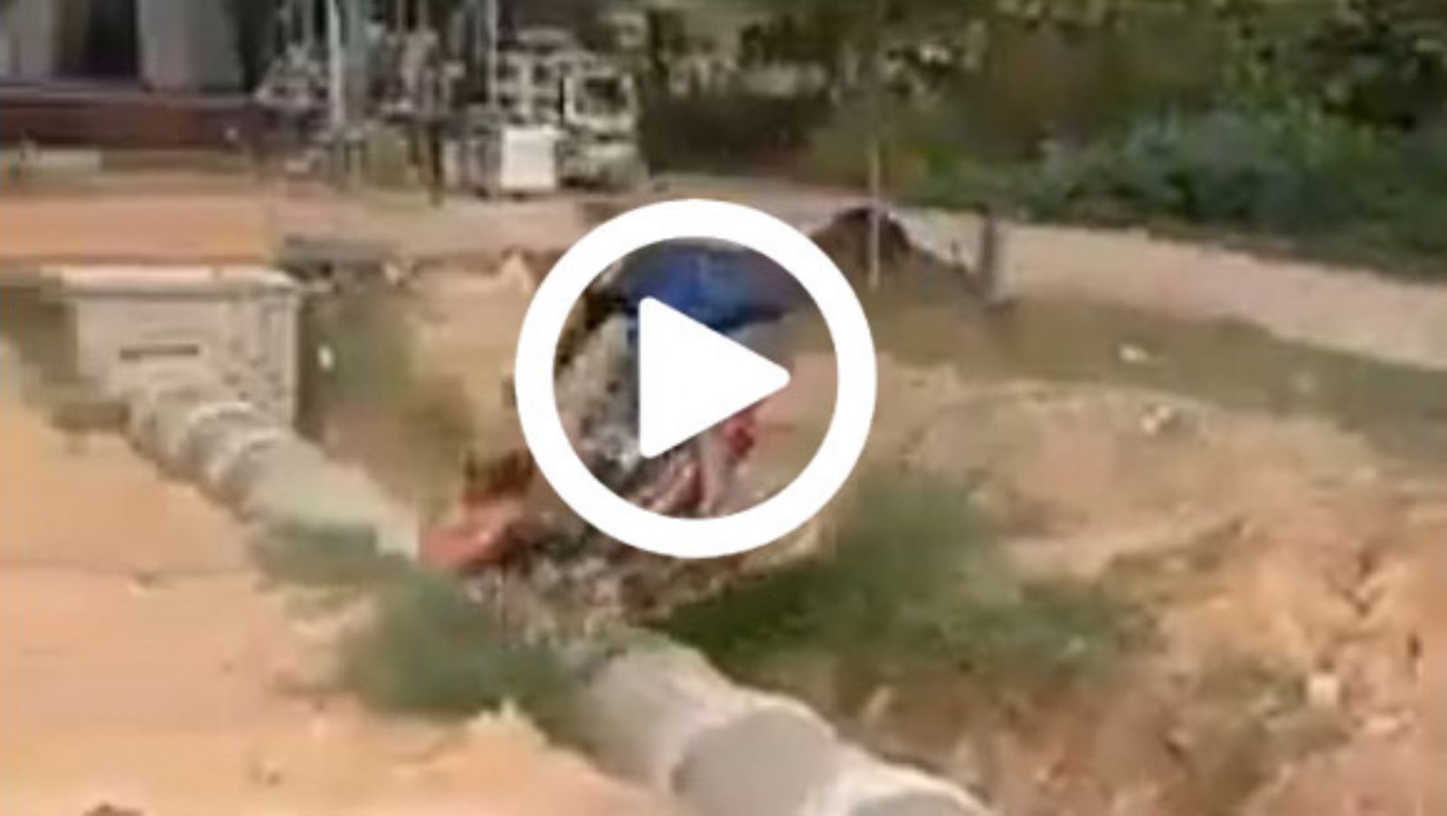 VIDEO: Πετάει το παπί; 