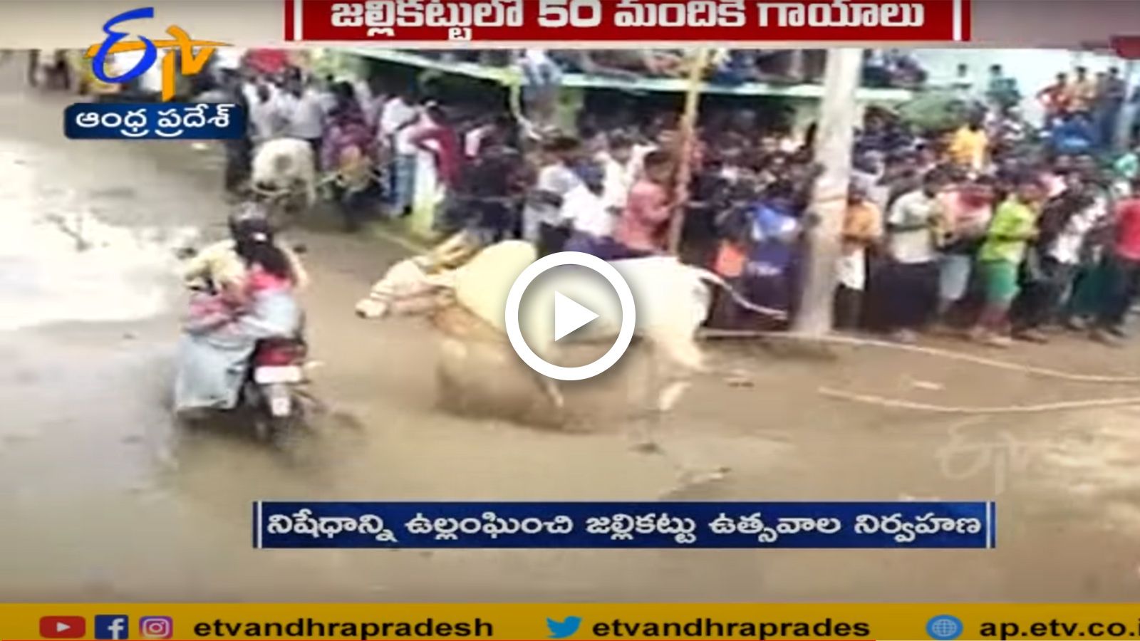 VIDEO: Μαινόμενος ταύρος χτυπά μοτοσυκλέτα!