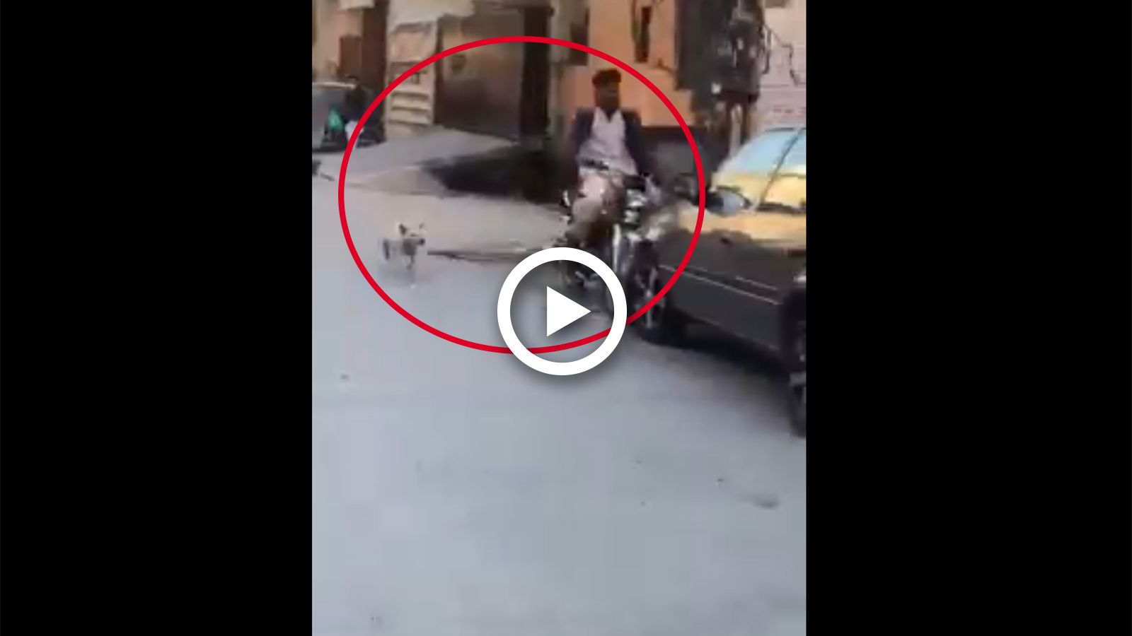 VIDEO: Αναβάτης αποφεύγει σκυλί αλλά πέφτει σε αυτοκίνητο