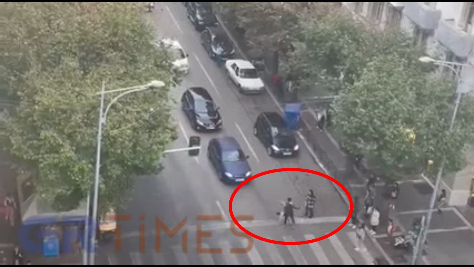 Περαστικοί σταματούν την κυκλοφορία για να περάσει σκυλί (video)