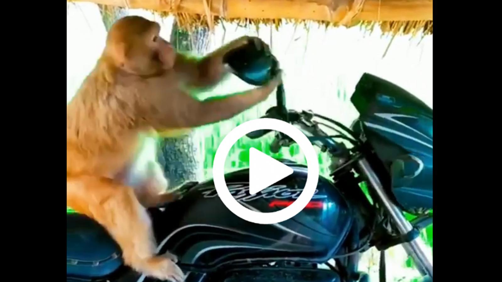 VIDEO: Πώς να ρυθμίσεις σωστά τους καθρέφτες της μοτοσυκλέτας