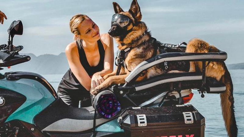 Αφησε τον άντρα της και πήρε το σκύλο για συνεπιβάτη