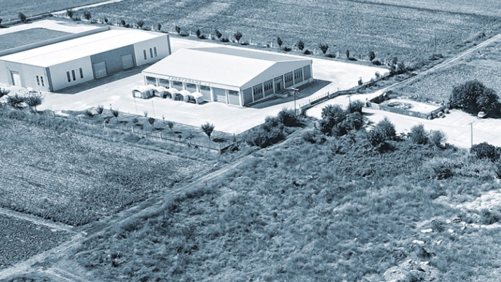 ΓΚΟΡΓΚΟΛΗΣ Α.Ε.: Με κέντρο τα Τρίκαλα και δίκτυο σε 13 χώρες