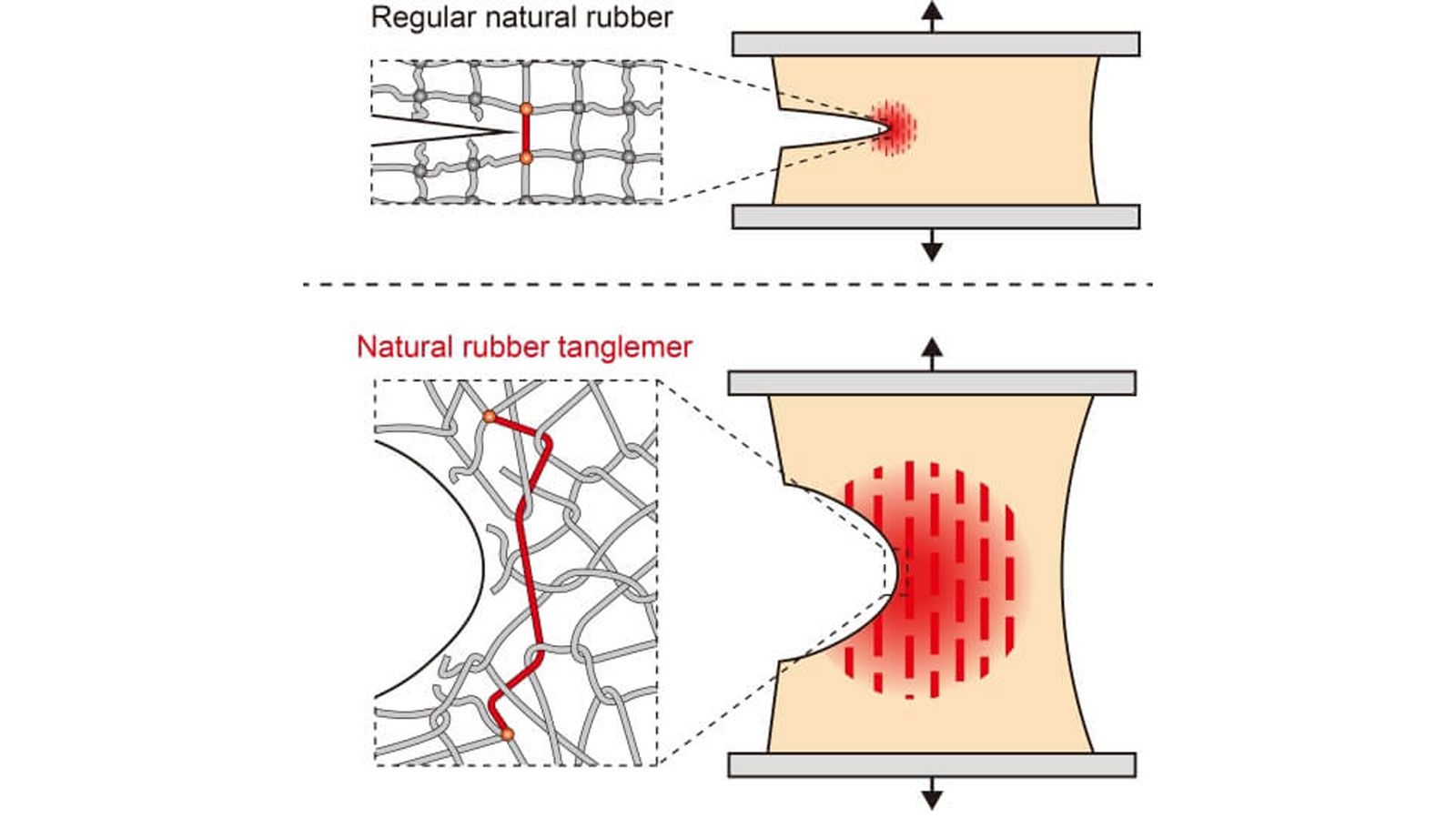 Σε δοκιμές, το νέο αυτό υλικό αποδείχθηκε τέσσερις φορές πιο ανθεκτικό στη σταδιακή διάβρωση από ρωγμές και δέκα φορές πιο ανθεκτικό συνολικά σε σύγκρ