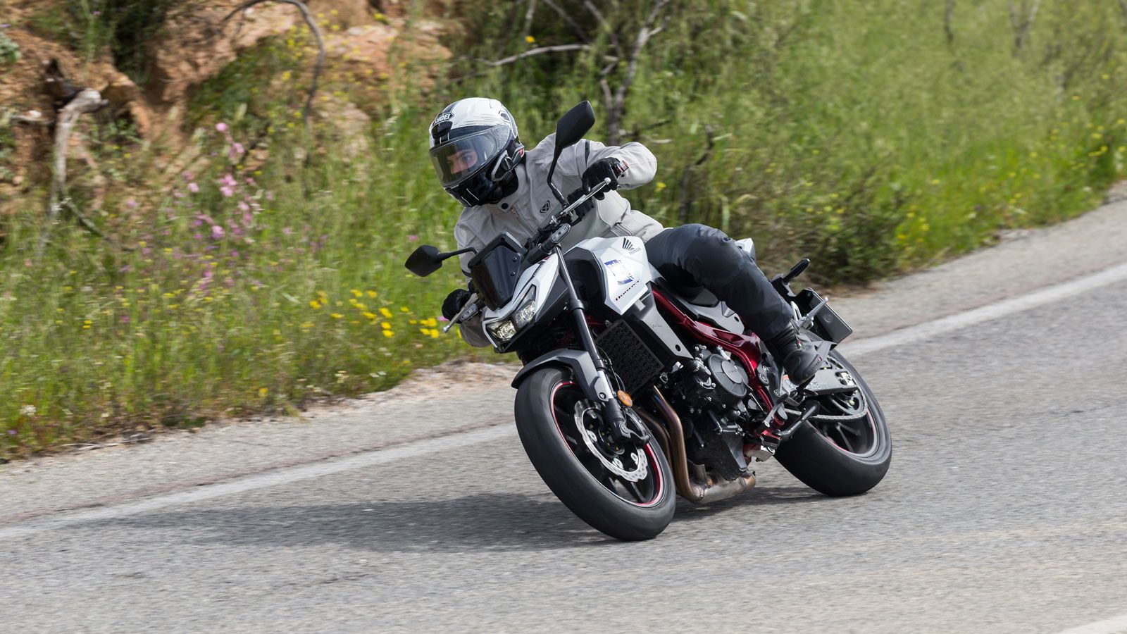 Από την πρώτη στιγμή που μία μοτοσυκλέτα με το όνομα Hornet ξεπρόβαλλε από το εργοστάσιο του Kumamoto, έγινε άμεσα ένα από τα πιο δημοφιλή μοντέλα της