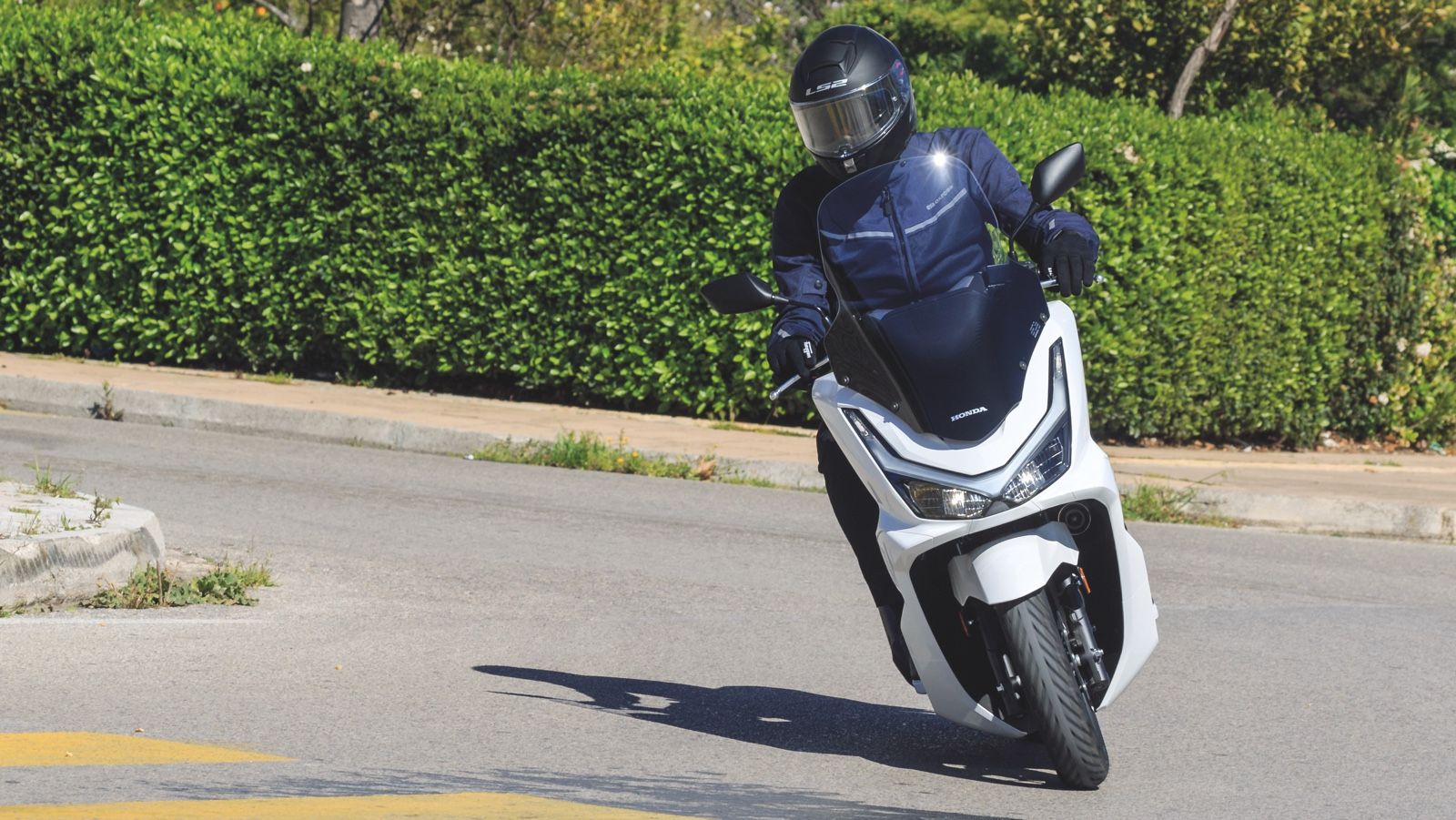 Κερδίζει άμεσα την εμπιστοσύνη σου και μπορείς να το πιέσεις αλλά και να βασιστείς πάνω του, όταν η περίσταση το απαιτήσει, όταν πχ εμφανιστεί ξαφνικά